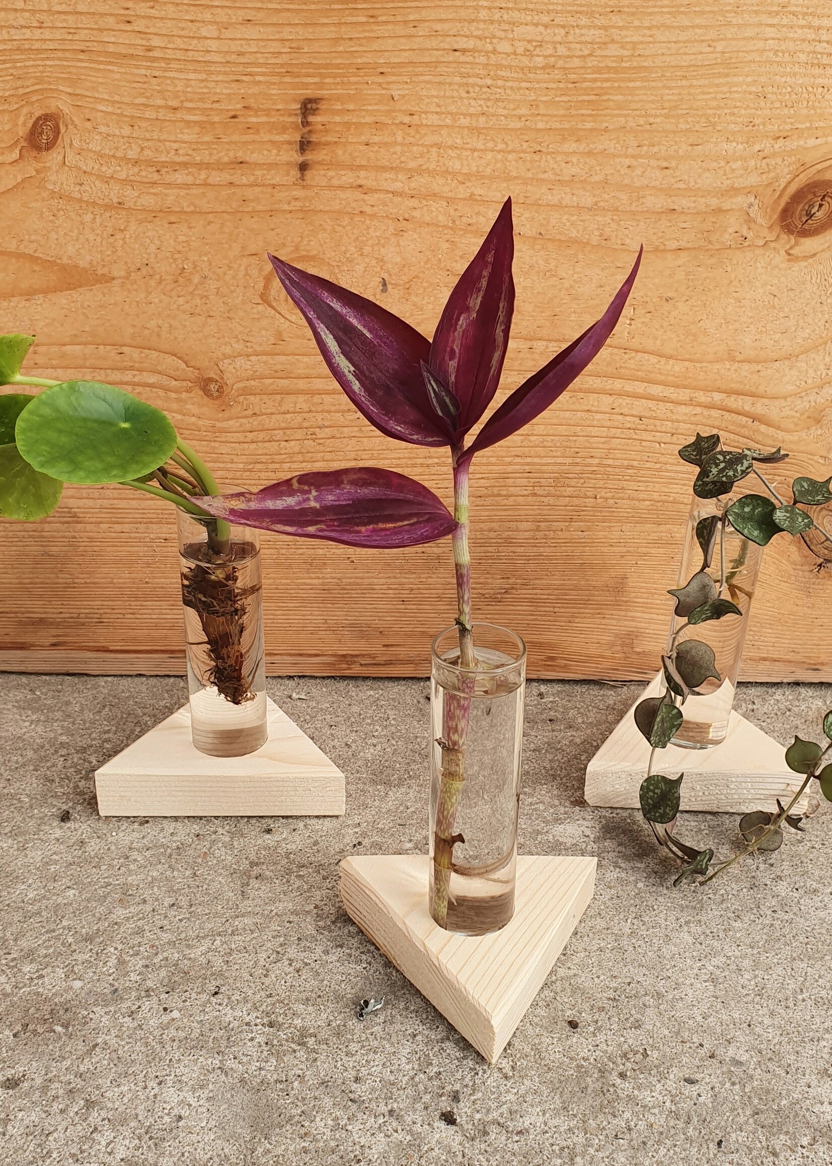 Moderne Houten Stekstation Driehoek