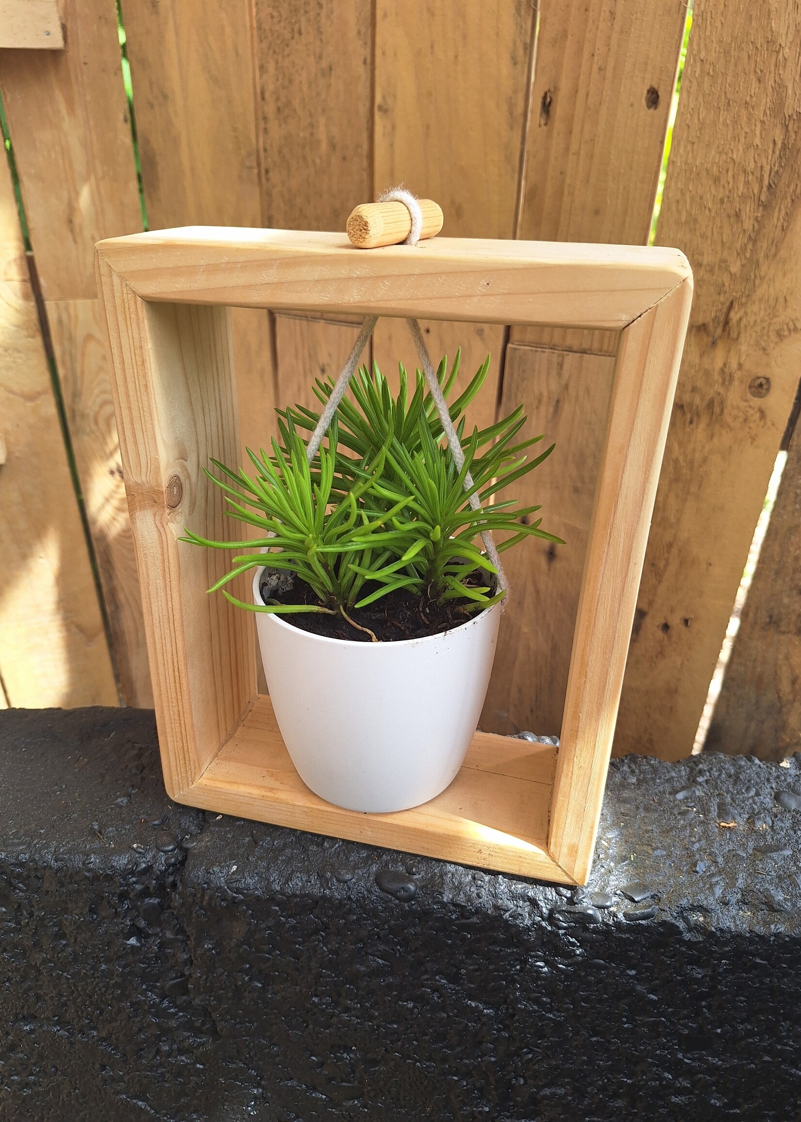 Unieke Houten Plantenhanger - Handgemaakt