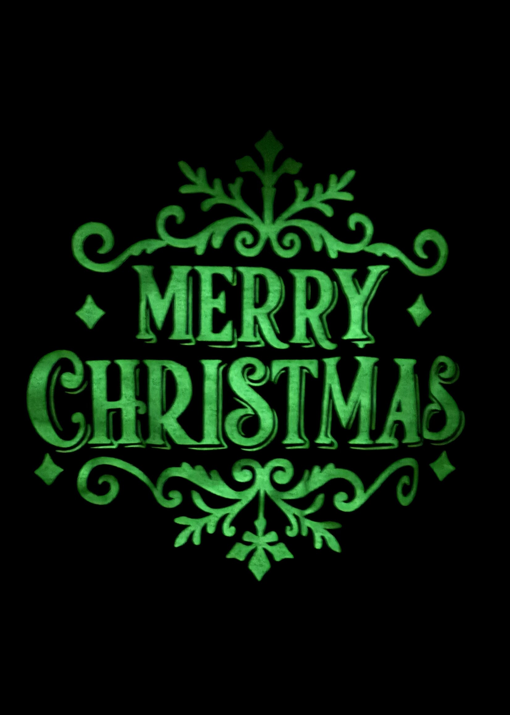 Glow in the dark vest