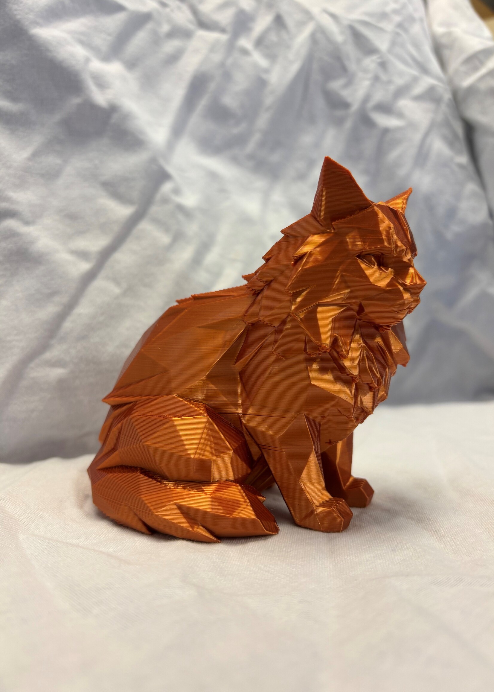 3D geprinte geomatric kat