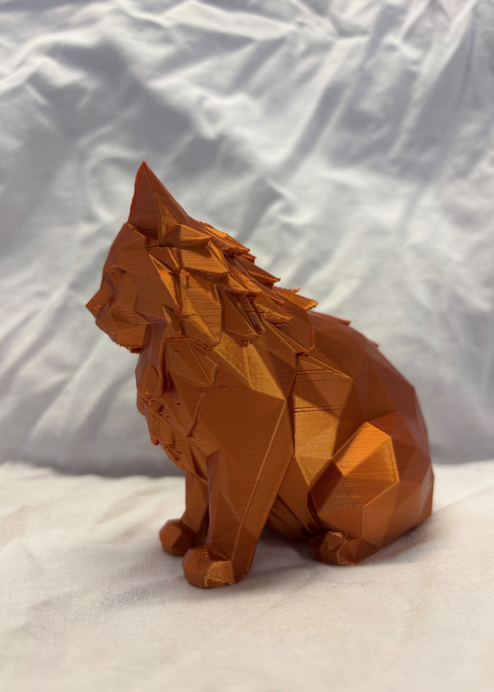 3D geprinte geomatric kat