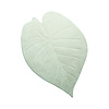 Pralny Dywan Dziecięcy - Coco Leaf Zielony - thumbnail 1