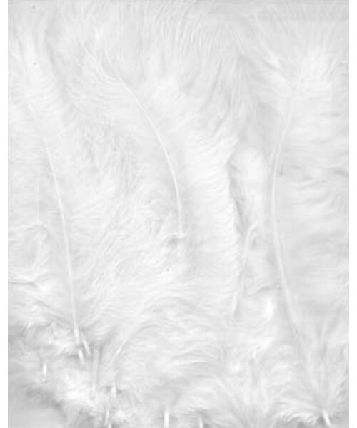 Hobby & Crafting Fun Marabou veertjes wit 15 stuks