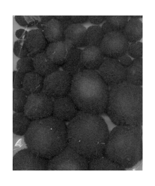 Hobby & Crafting Fun Pompon set zwart 50 stuks