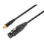 PD Connex XLR (m) - RCA (m) Adapter - 0,15 Meter