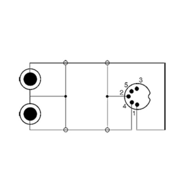 DIN 5-polig - Stereo Cinch 2RCA Audiokabel (Aufnahme) / Schwarz - 1,5 Meter