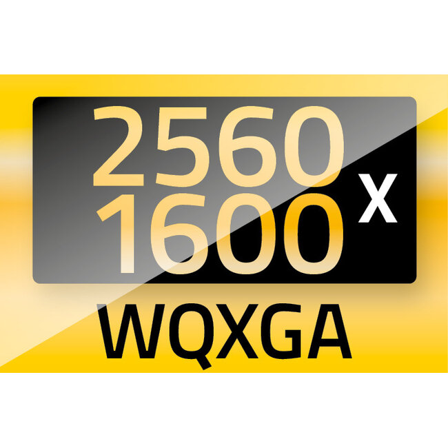 Roline DVI-D Dual Link Monitor-Kabel Schwarz 2m