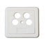 Abdeckplatte für 4-Loch Steckdose / Elfenbein