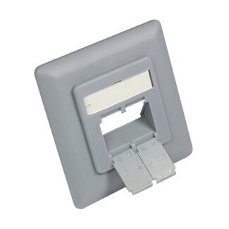 S-Impuls Abdeckplatte Steckdose / Grau