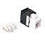 UTP CAT6 Gigabit Keystone Modul RJ45 - LSA (werkzeuglos) / Weiß/Schwarz