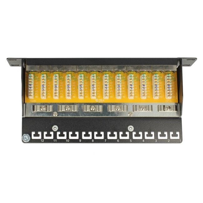 Delock 10 Zoll Patchpanel | 12x RJ45 | CAT6 | STP | 1U | Grau