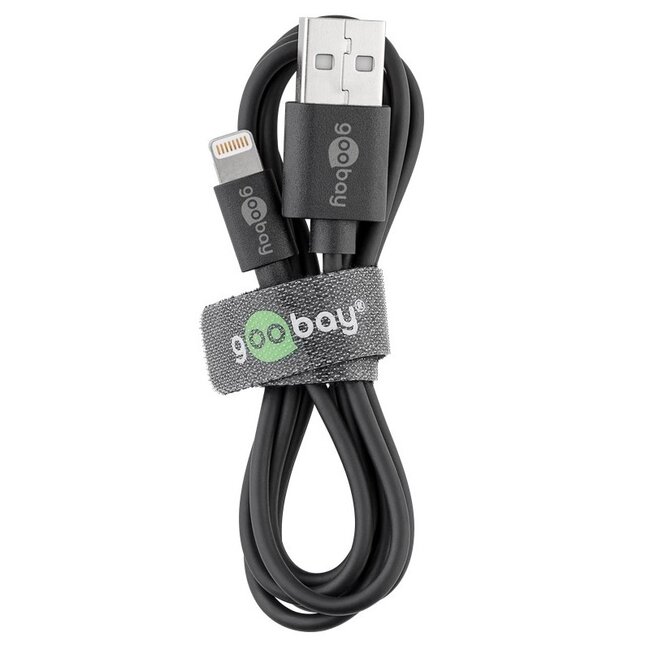 USB-A Heimladegerät mit 2 Ports und 8-Pin Lightning Kabel - Smart IC - 2,4A / Schwarz - 1 Meter