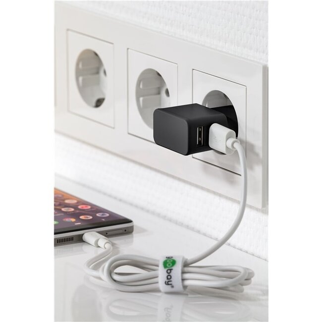 USB-A Heimladegerät mit 2 Ports und 8-Pin Lightning Kabel - Smart IC - 2,4A / Schwarz - 1 Meter