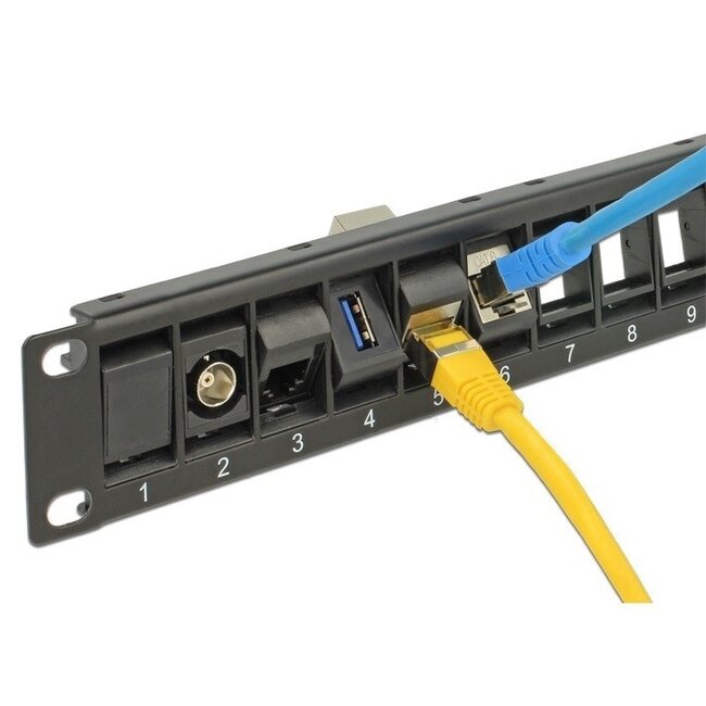 Delock 19 Zoll Patchpanel | 24 Keystone Module | Gedrehte Ports | 1U | Schwarz