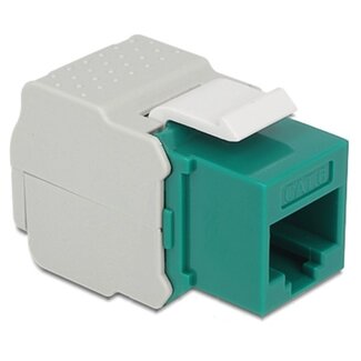 DeLOCK UTP CAT6 Gigabit Keystone Modul RJ45 - LSA (werkzeuglos) / grün/grau