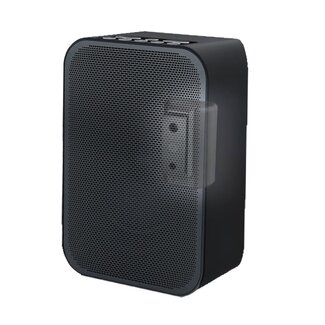 Cavus Cavus Premium Wandhalterung für Bluesound Pulse Flex & Flex 2i / Schwarz