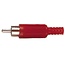 Tulp Audio/Video Stecker - Kunststoff / Rot
