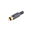 Tulp Audio/Video Stecker - Vergoldet - Kunststoff/Schwarz