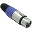 XLR 3-poliger (m) Stecker mit Kunststoff-Zugentlastung - Grau/Blau