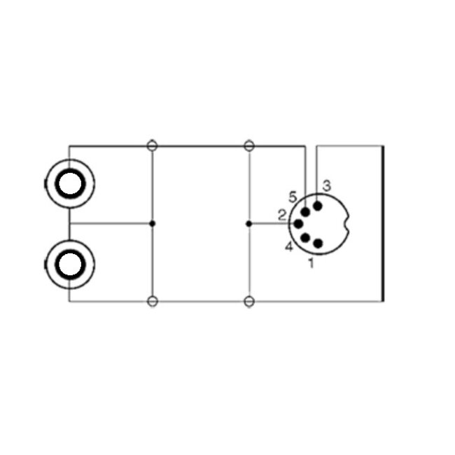 DIN 5-polig (m) auf 2x Cinch Stereo Audio Adapter Kabel Schwarz 0,20 m