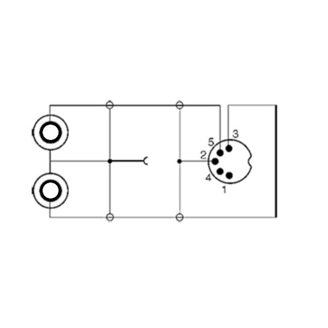 DIN 5-polig (m) auf 2x Cinch Stereo (w) Audio Adapter mit Erdungskabel, 0,20 m, Schwarz