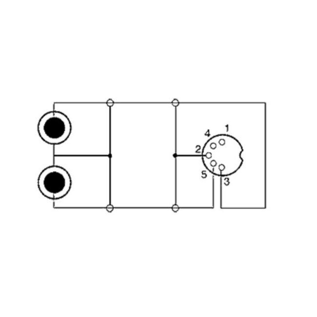 DIN 5-polig (m) auf 2x Cinch Stereo Audio Adapter Kabel, 0,20 m, Schwarz