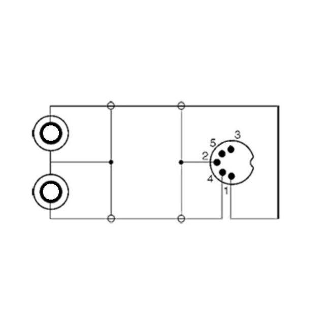 DIN 5-polig (m) auf 2x Cinch Stereo Audio Adapter (Aufnahme) / Schwarz - 0,20 m