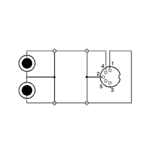 DIN 5-polig (m) auf 2x Cinch Stereo Audio Adapter Kabel, 0,20 m, Schwarz