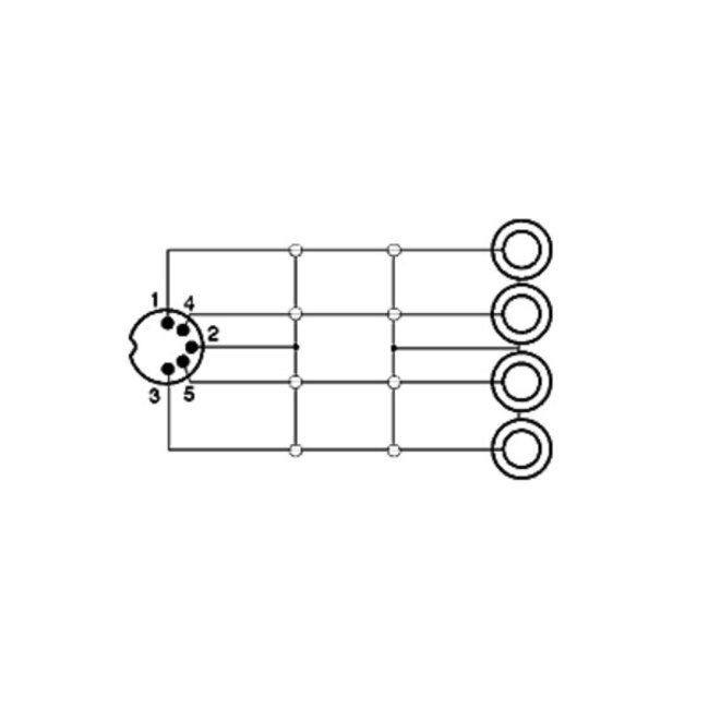 DIN 5-polig (m) auf 2x Cinch Stereo (w) Audio Adapter (Recorder - Verstärker) / Schwarz - 0,20 m