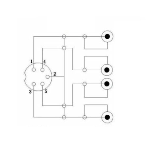 DIN 5-polig (m) auf 2x Cinch Stereo 2RCA (m) Audio Adapter (Recorder - Verstärker) / Schwarz - 0,20 m