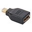 Mini DisplayPort-zu-DisplayPort Adapter Version 1.1 (4K 30 Hz) Schwarz