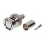 BNC (m) Schrumpfstecker für RG59 Kabel - 75 Ohm / gerade