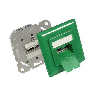 Good Connections Premium CAT6 Gigabit Netzwerk Einbaudose mit Abdeckplatte und 2 geschirmten RJ45 Anschlüssen – grün