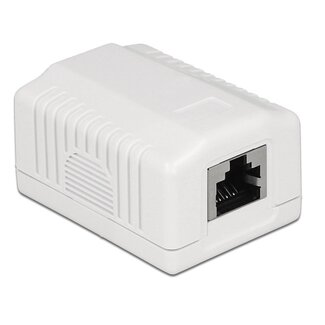 DeLOCK CAT6a Gigabit Netzwerkanschlussdose mit 1 RJ45 Port - geschirmt / weiß