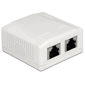 DeLOCK CAT6a Gigabit Netzwerk-Anschlussdose mit 2 RJ45 Buchsen - geschirmt / weiß