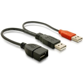 DeLOCK USB-auf-USB Y-Adapter - USB 2.0 - bis 2A / Schwarz - 0,20 m