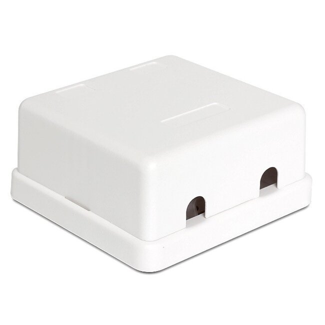 Ausgangsbox | für 2 Keystone-Module | Weiß