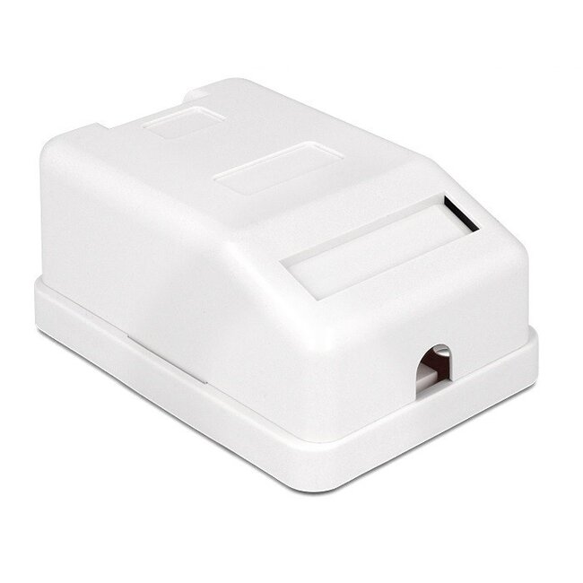Ausgangsdose mit Abdeckplatte | für 1 Keystone-Modul | Weiß