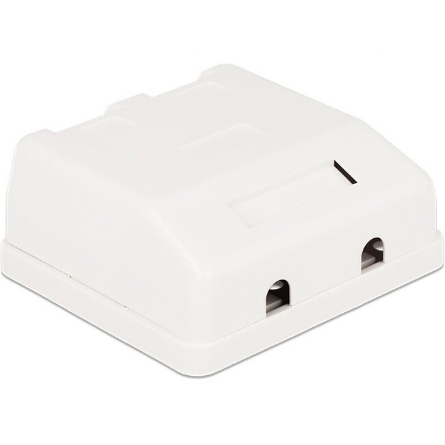 Abzweigdose mit Abdeckkappen | für 2 Keystone-Module | Weiß