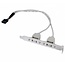 Pin-Header-Halterung USB2.0 (m) - 2x USB-A (m) - 0,25 m