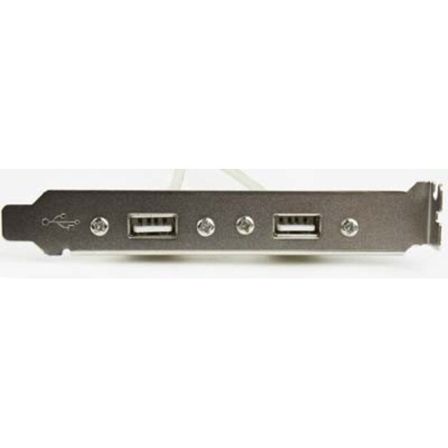 Pin-Header-Halterung USB2.0 (m) - 2x USB-A (m) - 0,25 m