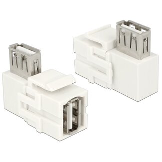DeLOCK Keystone USB 2.0 Modul - Weiß - Winkelanschluss