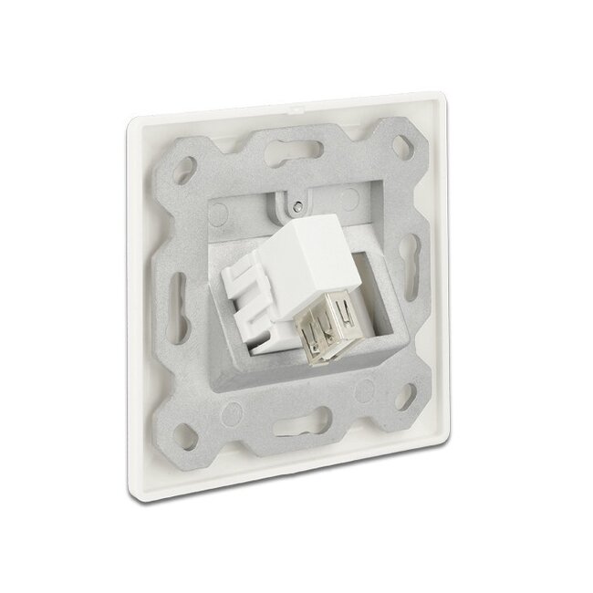 Keystone USB 2.0 Modul - Weiß - Winkelanschluss