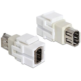 DeLOCK Keystone FireWire 6-poliges Modul
