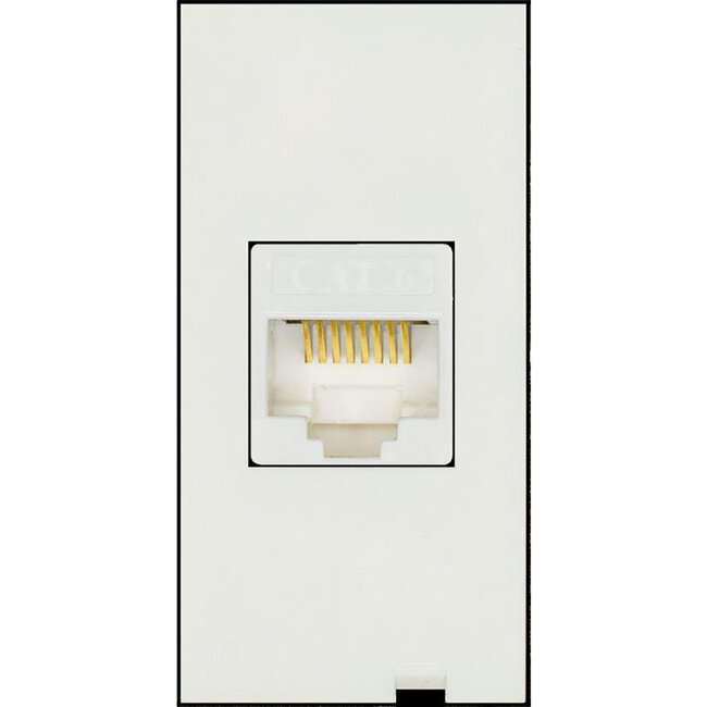 Technetix RJ45 Wanddose CL50 SHOP / KPN Geeignet