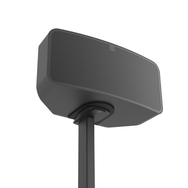 Cavus Premium Stativ für Bluesound Pulse Mini & Pulse Mini 2i – Schwarz