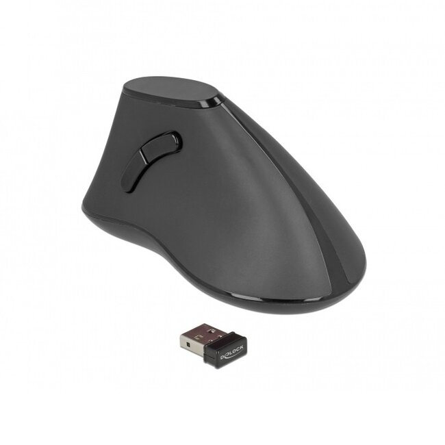 DeLOCK Ergonomische Kabellose USB-Maus mit 5 Tasten, 1000 DPI – Schwarz