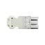 Bachmann Installationsstecker - Wieland GST18® (m) / Weiß