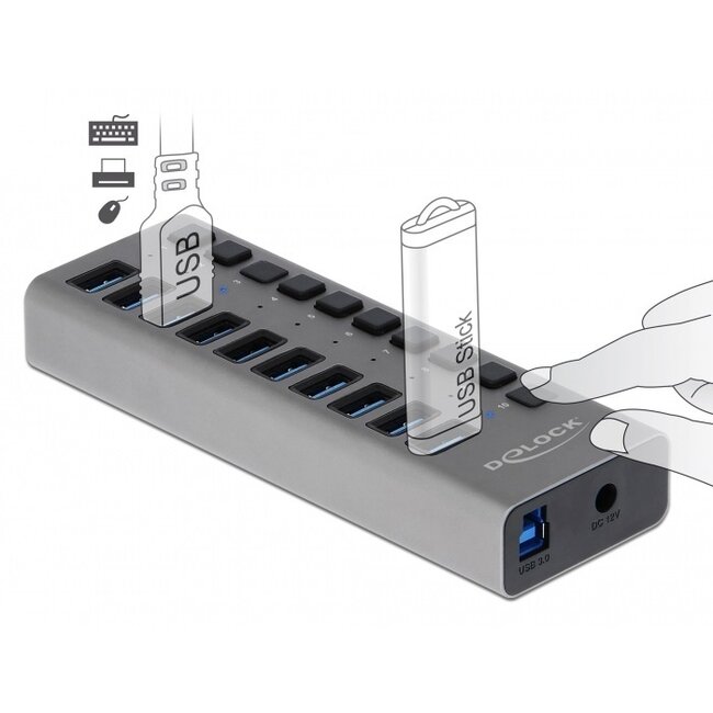 DeLOCK USB-Hub 10 Ports mit Ein/Aus-Schaltern - USB 3.0 - Externes 12V Netzteil / Grau - 1 Meter