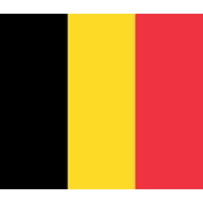 Brennenstuhl Eco-Line Steckdosenleiste 3-fach Schwarz 3m (Belgien)